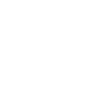 Mini Excavator