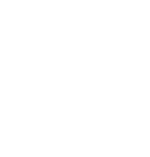Pick & Carry Crane